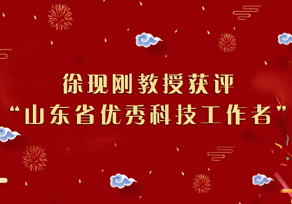 成人视频