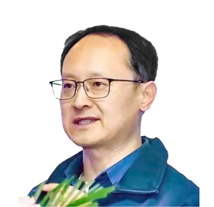 成人视频