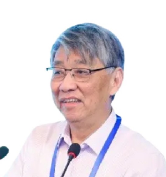 成人视频
