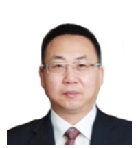 成人视频